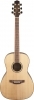 Takamine GY93 NAT Takamine GY93 NAT